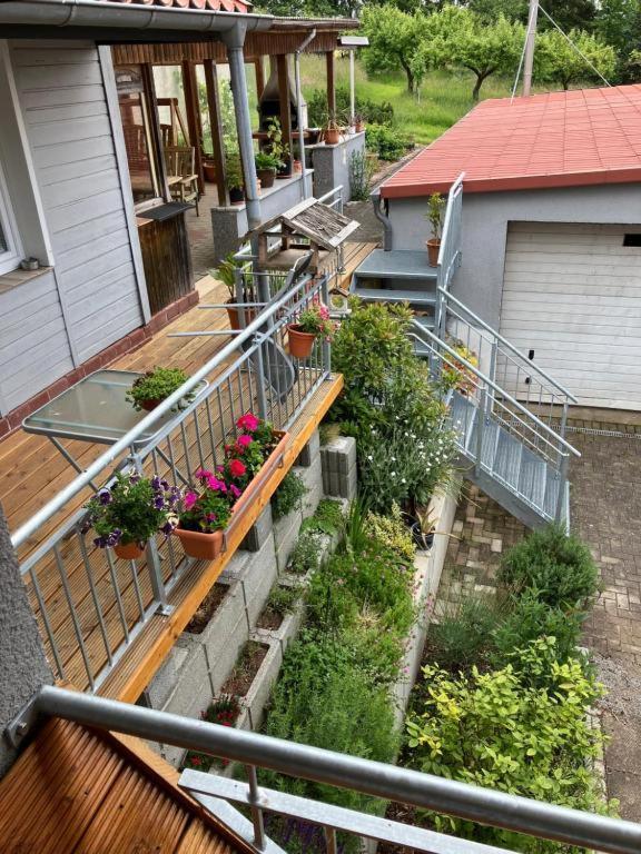 Pension Volgenandt Breitenbach Exteriér fotografie